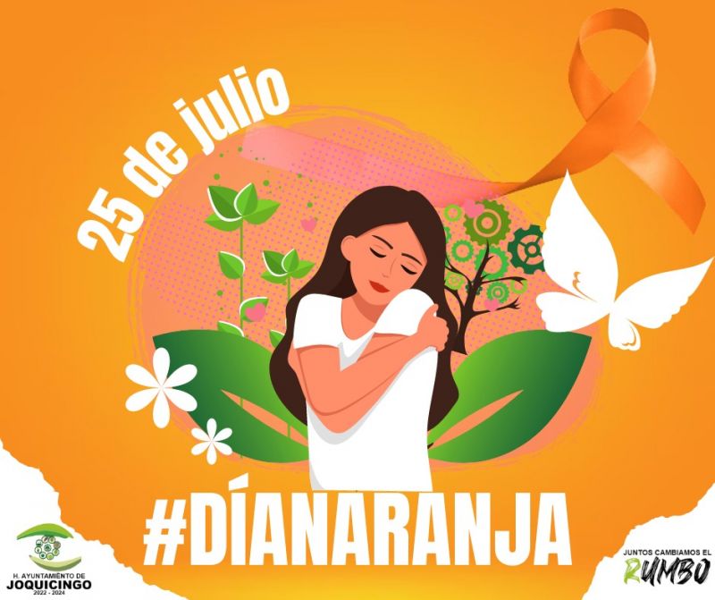 Dia Naranja